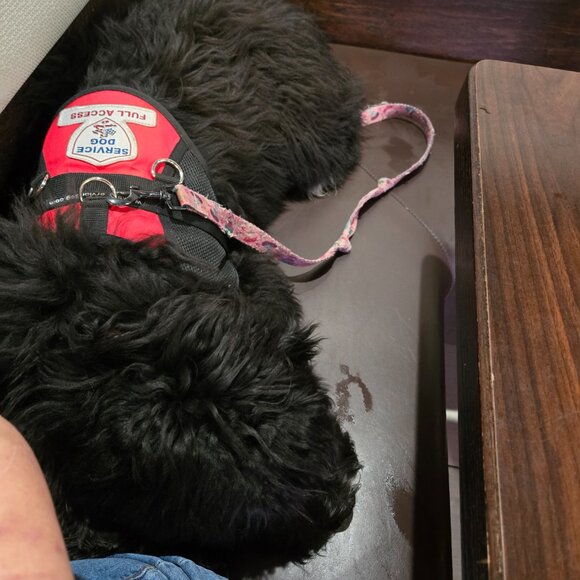 Live Notice - Picture 6 of 9